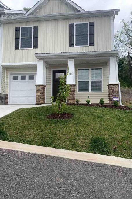Newly Built Townhome Close To The Asheville Sites Candler Zewnętrze zdjęcie