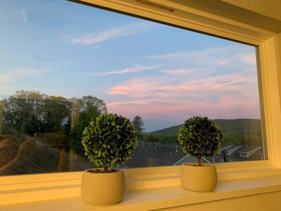 Newly Built Townhome Close To The Asheville Sites Candler Zewnętrze zdjęcie